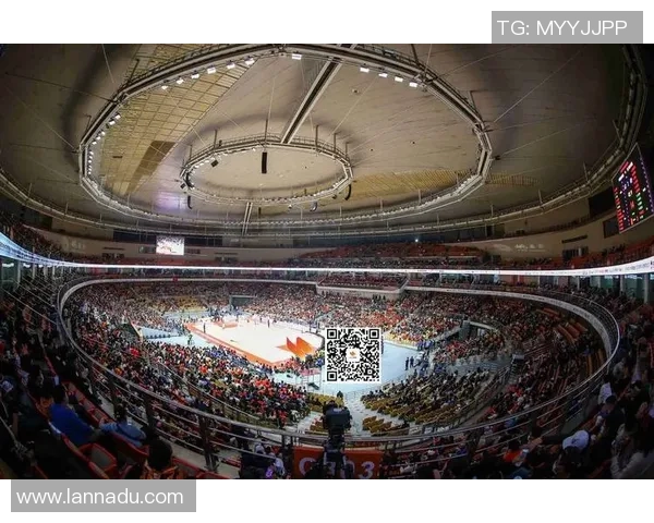 武汉篮球队实力解析：从战术布局到球员表现的全面剖析