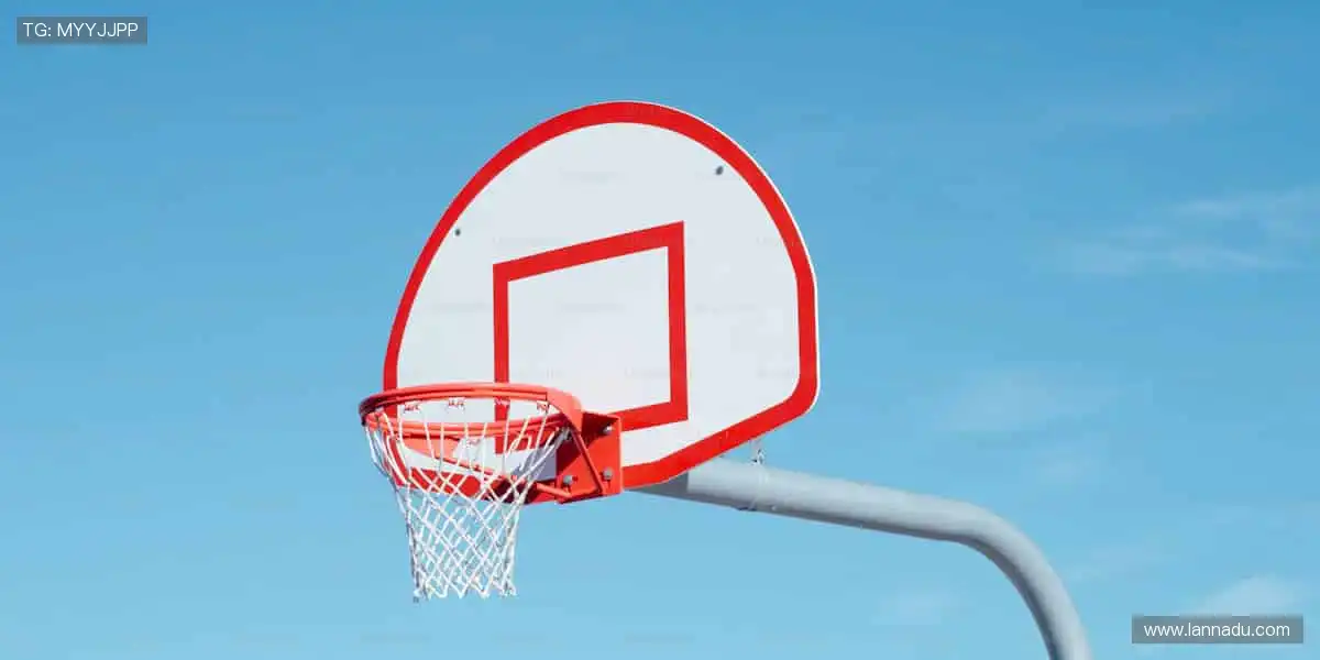 🎁把赛场带回家,让热爱触手可及!